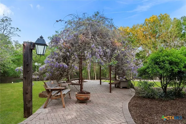 a view of a park with plants and trees