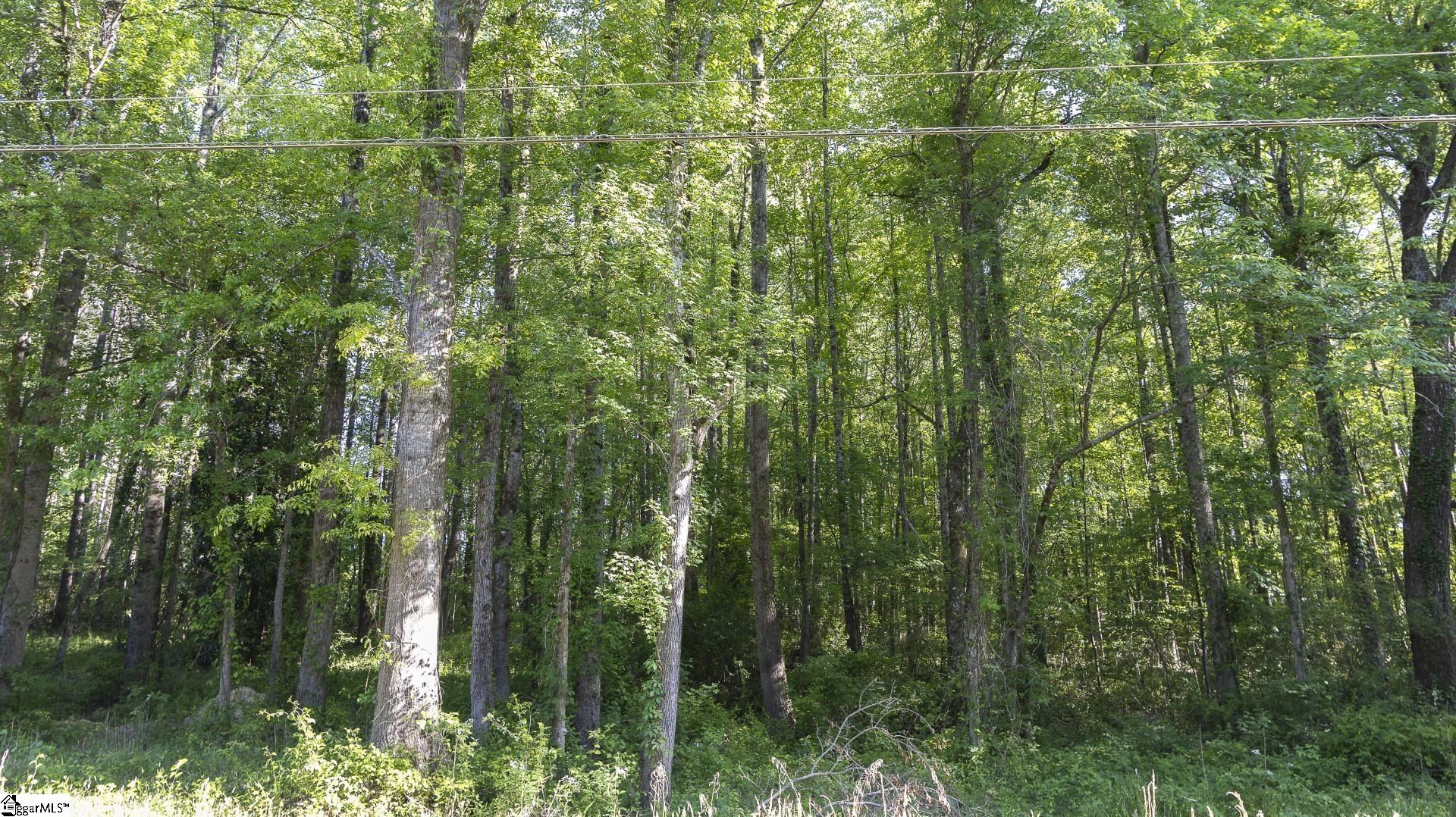 0 Botany Slopes Road Piedmont, SC 29673 - Photo 12 of 44