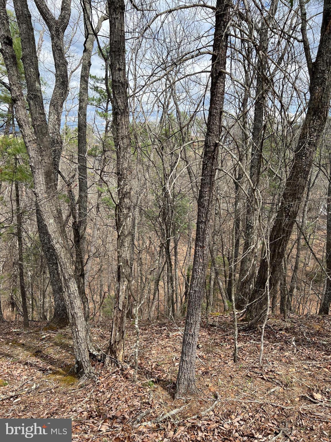 0 Valley View Road Mount Jackson, VA 22842 - Photo 2 of 4