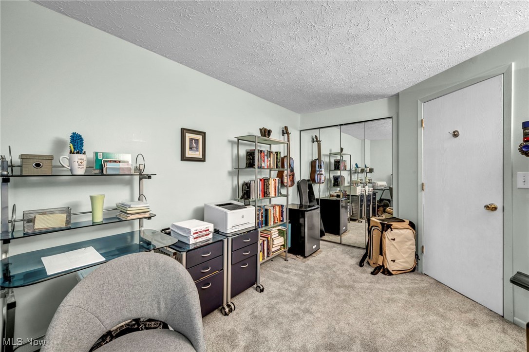 4750 Oak Point Road, Unit 304 Lorain, OH 44053 - Photo 20 of 29 Office featuring a textured ceiling and carpet