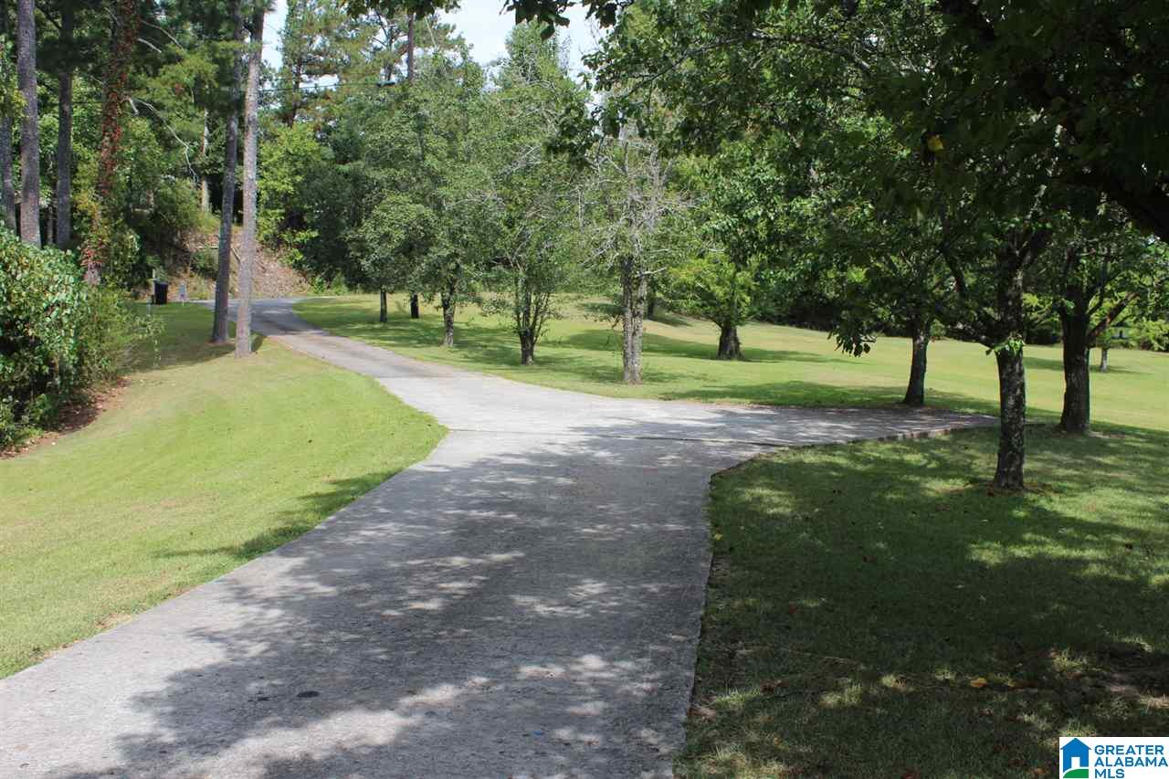 2894 Beech Grove Road Haleyville, AL 35565 - Photo 40 of 49