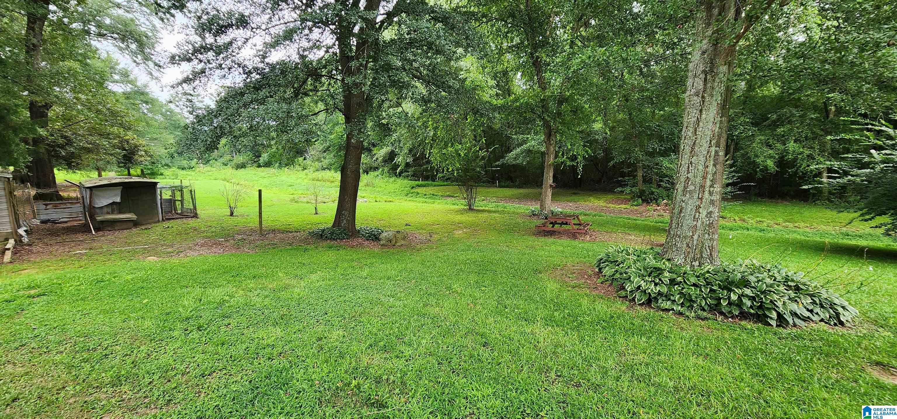 368 Dodd Road Altoona, AL 35952 - Photo 41 of 54