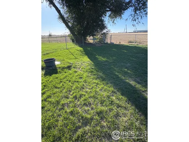 a view of a yard with an trees