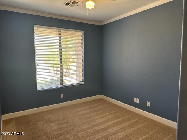 857 East Cathy Drive Gilbert, AZ 85296 - Photo 17 of 28 IMG_5200