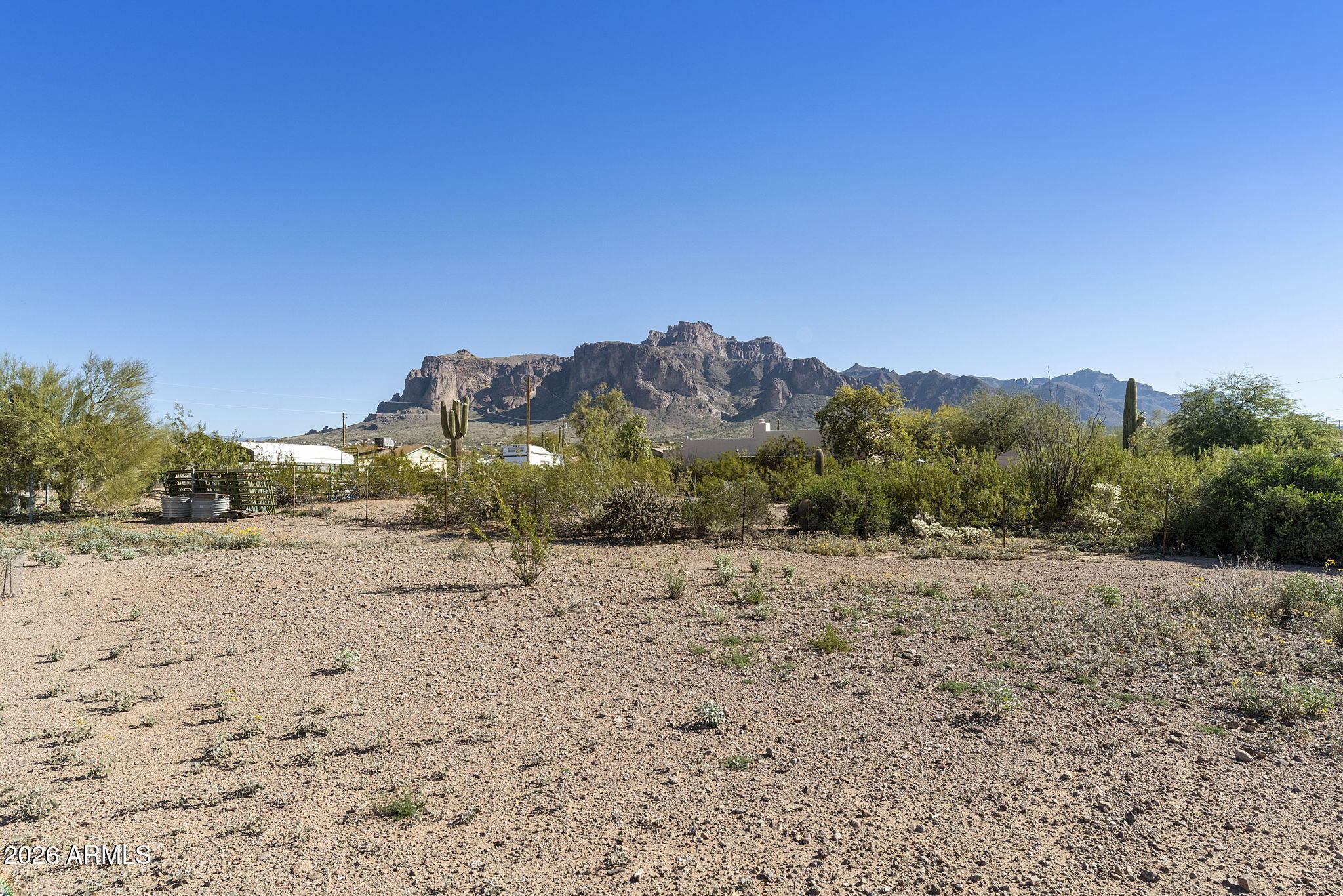 973 North Boyd Road Apache Junction, AZ 85119 - Photo 11 of 60 Backyard