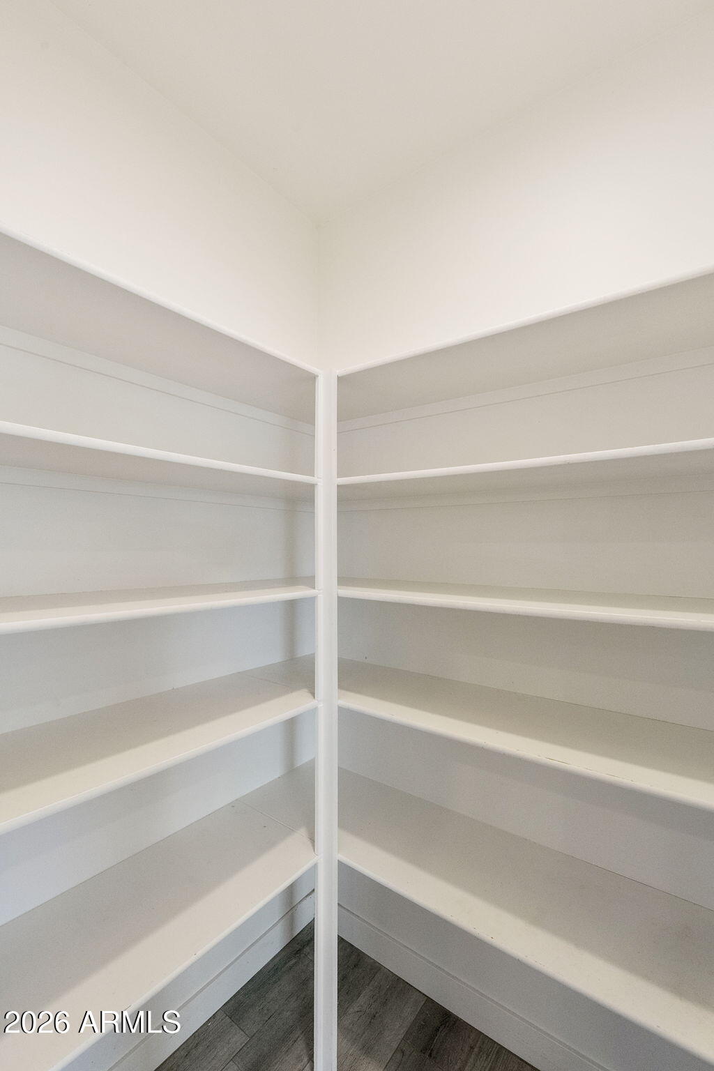 973 North Boyd Road Apache Junction, AZ 85119 - Photo 18 of 60 Pantry walk in