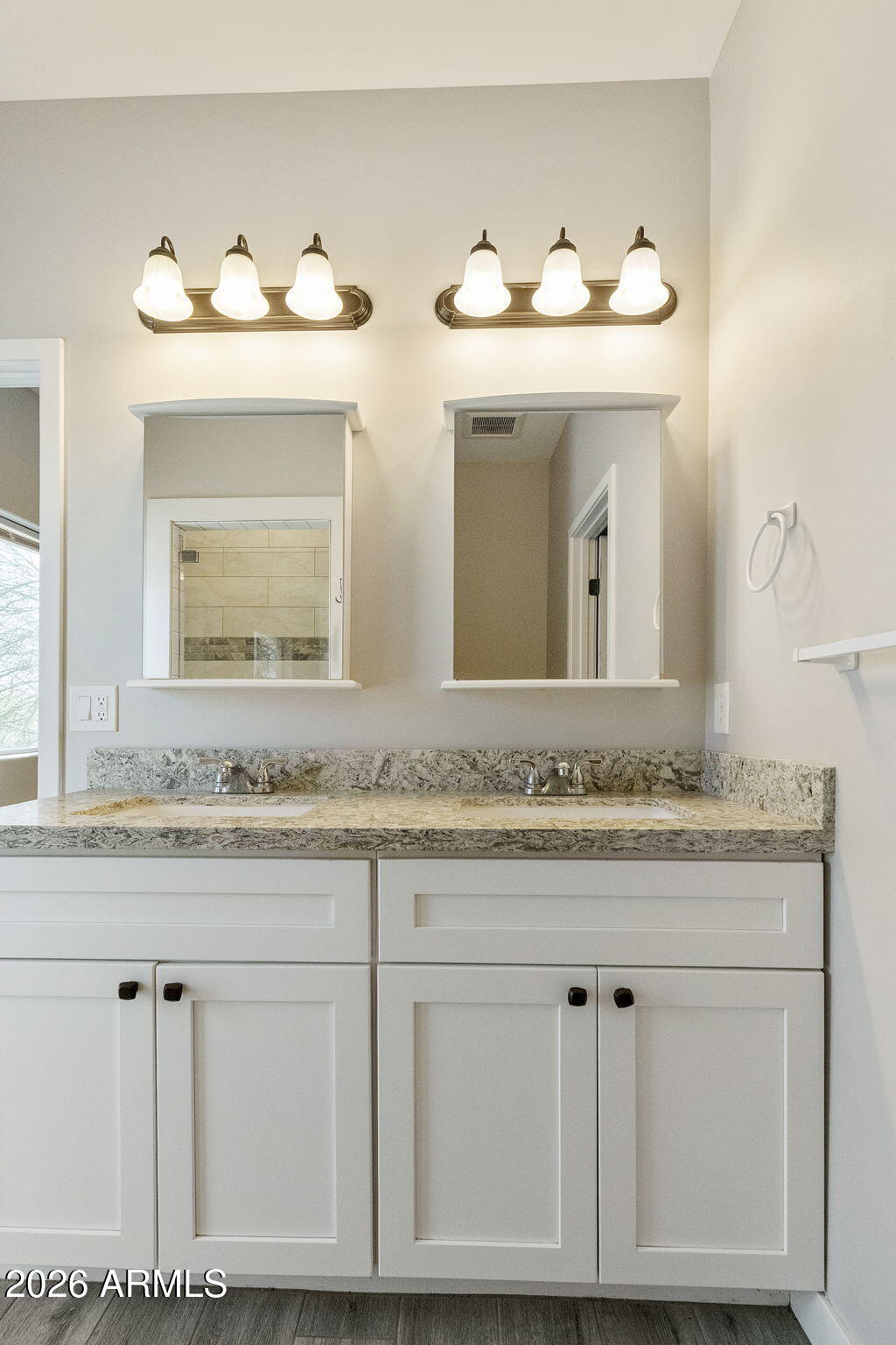 973 North Boyd Road Apache Junction, AZ 85119 - Photo 21 of 60 Primary #1 Bathroom Dbl Sinks