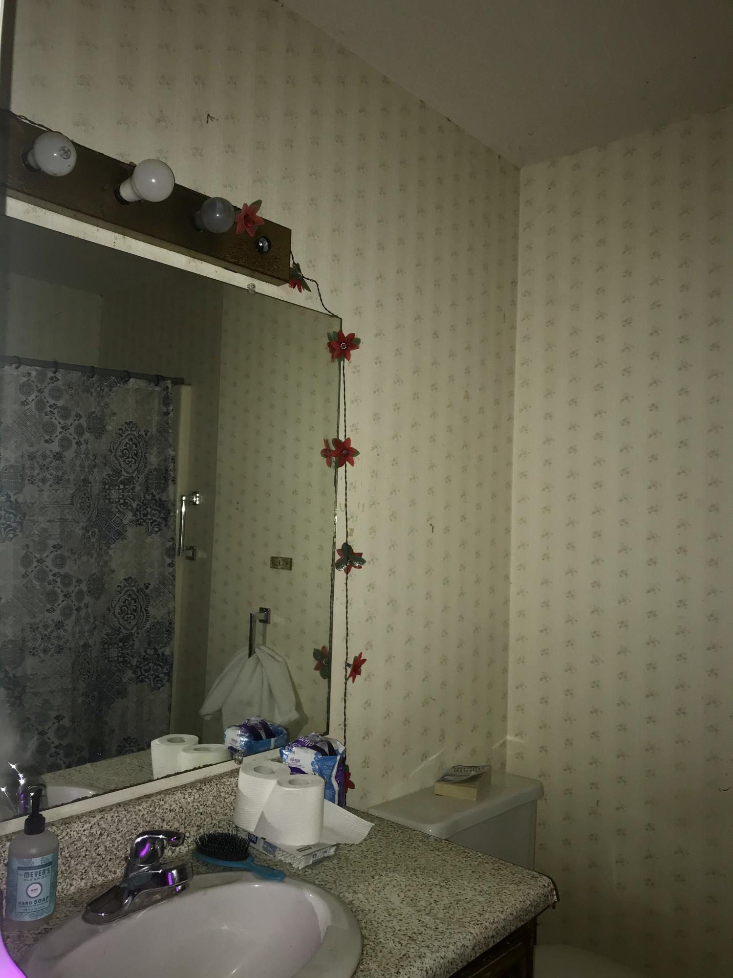 9110 Hundley Road Chattanooga, TN 37416 - Photo 17 of 26 Full Bath