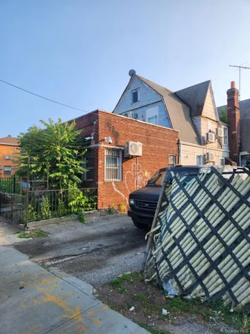 a view of a yard with plants and a large tree
