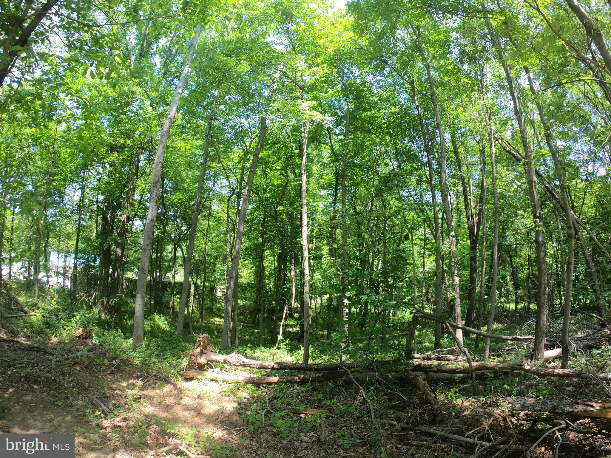 1914 Montevideo Road Jessup, MD 20794 - Photo 11 of 18