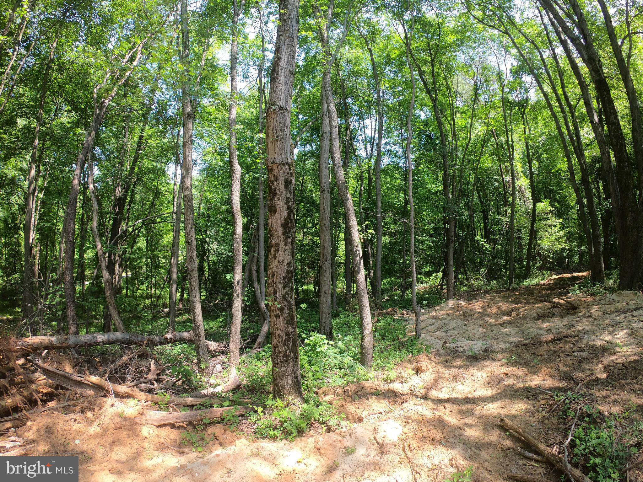 1914 Montevideo Road Jessup, MD 20794 - Photo 12 of 18