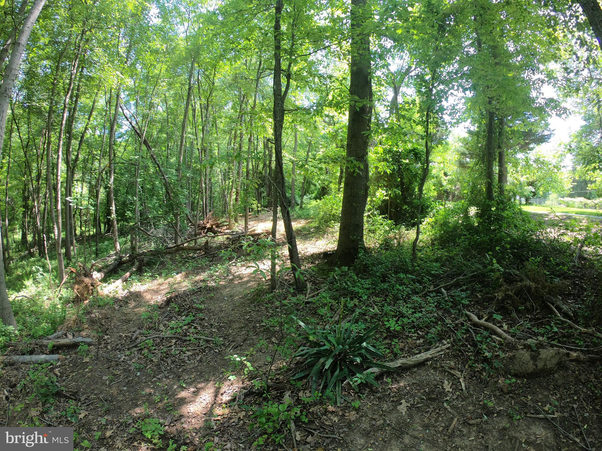 1914 Montevideo Road Jessup, MD 20794 - Photo 13 of 18