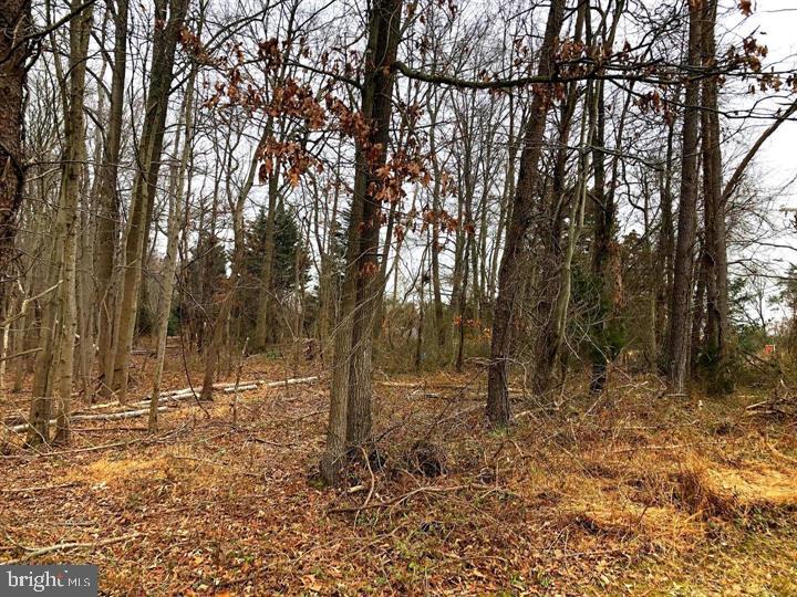 1914 Montevideo Road Jessup, MD 20794 - Photo 14 of 18