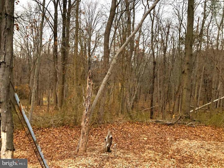 1914 Montevideo Road Jessup, MD 20794 - Photo 15 of 18