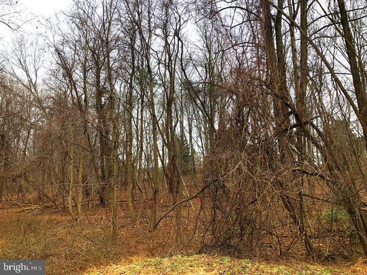 1914 Montevideo Road Jessup, MD 20794 - Photo 16 of 18