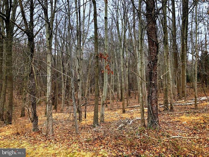 1914 Montevideo Road Jessup, MD 20794 - Photo 17 of 18