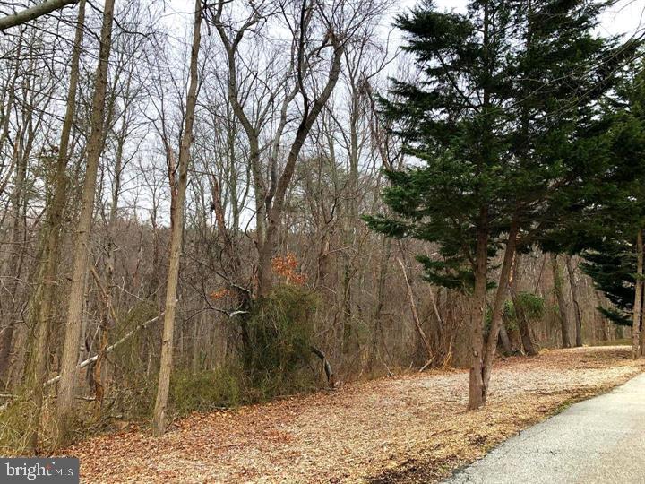 1914 Montevideo Road Jessup, MD 20794 - Photo 18 of 18