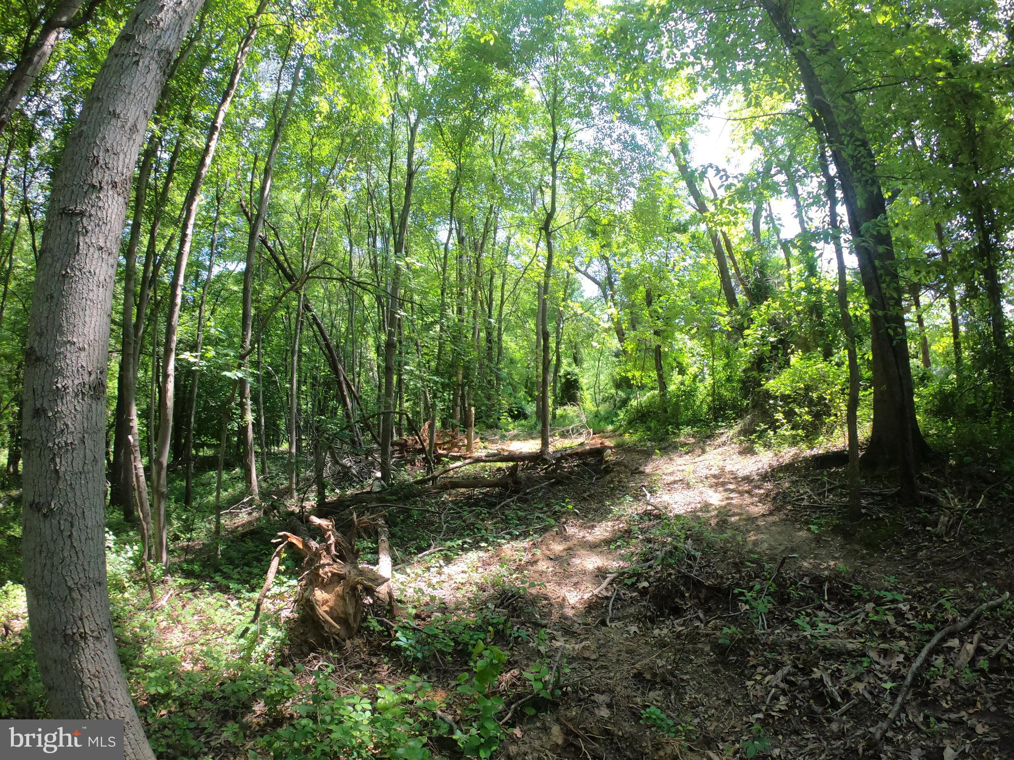 1914 Montevideo Road Jessup, MD 20794 - Photo 6 of 18