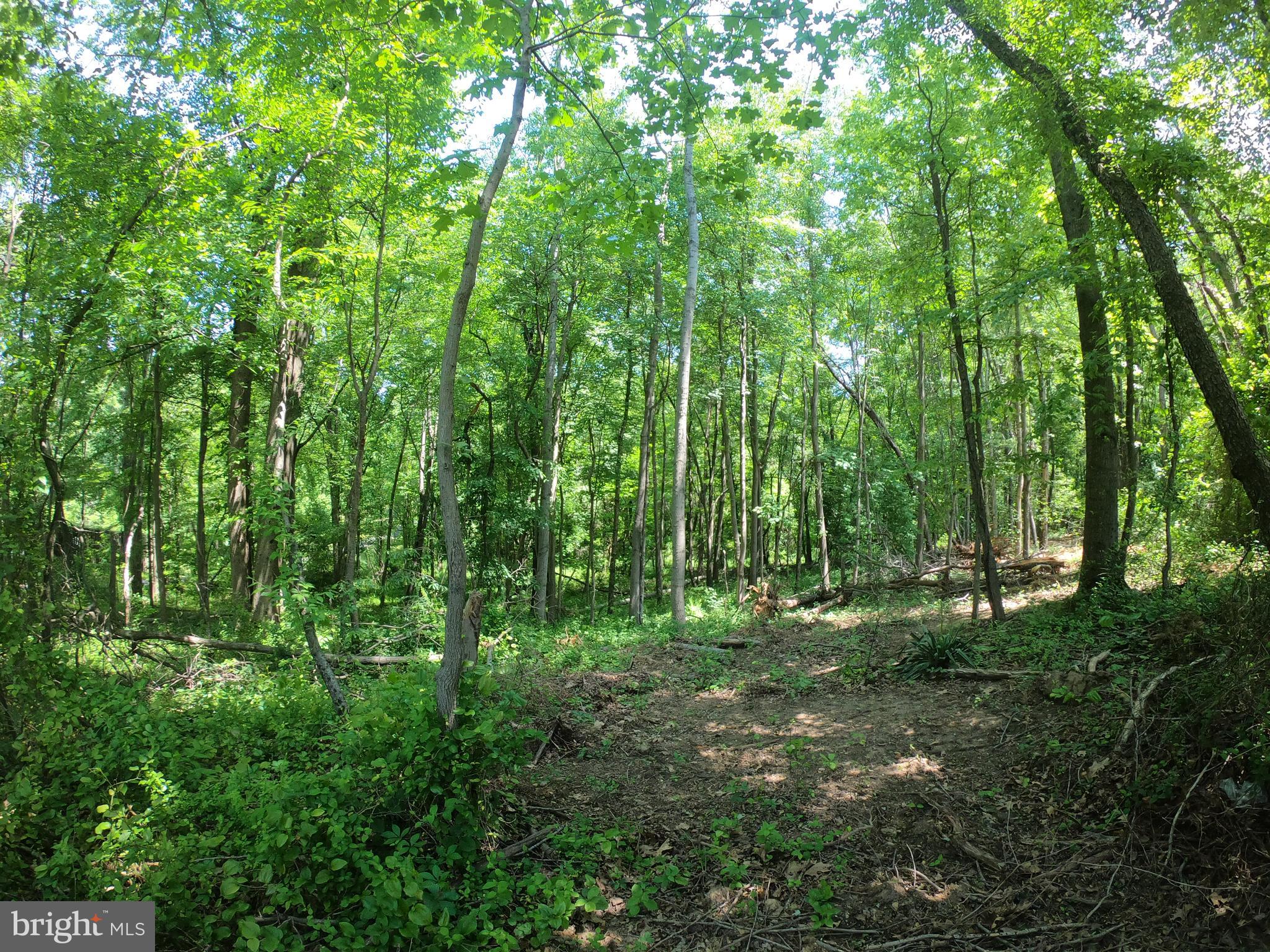 1914 Montevideo Road Jessup, MD 20794 - Photo 7 of 18