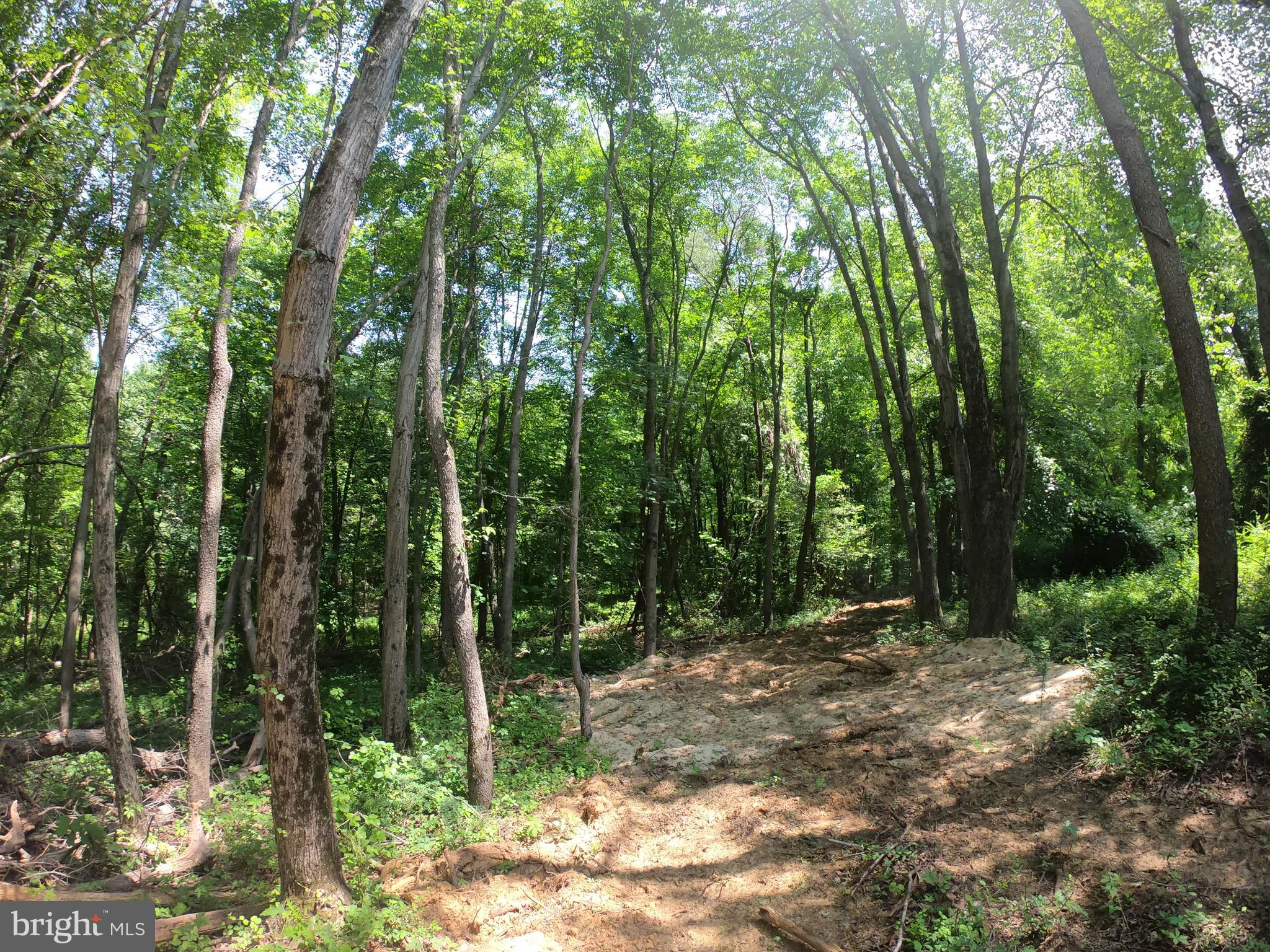 1914 Montevideo Road Jessup, MD 20794 - Photo 8 of 18