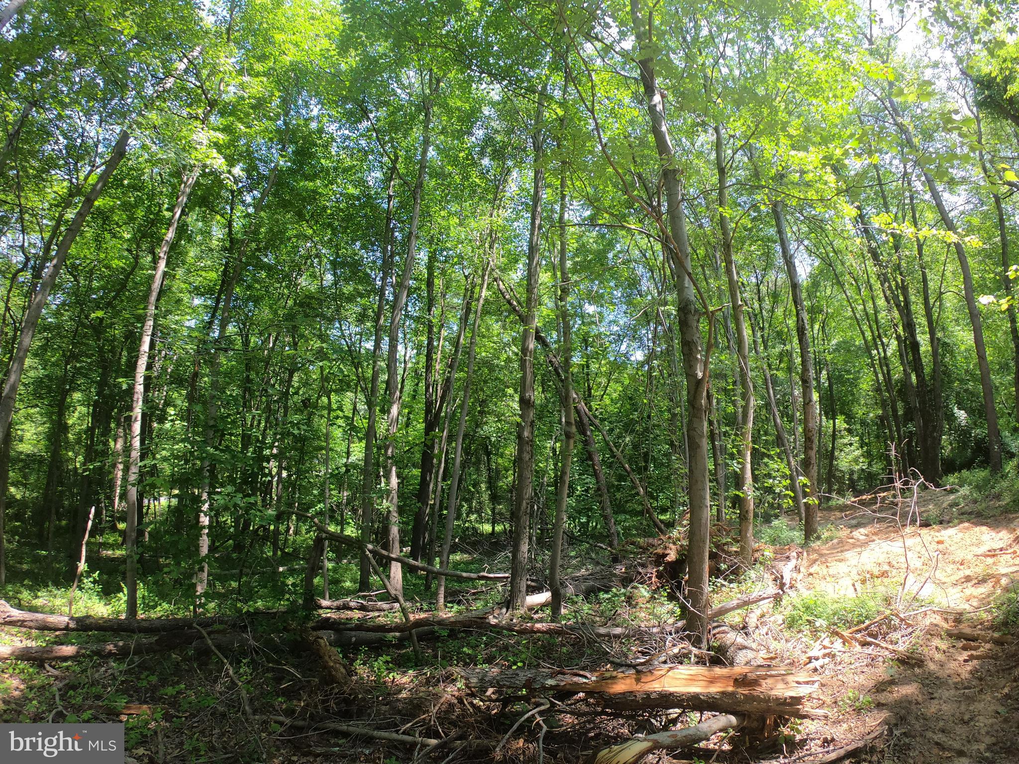 1914 Montevideo Road Jessup, MD 20794 - Photo 9 of 18