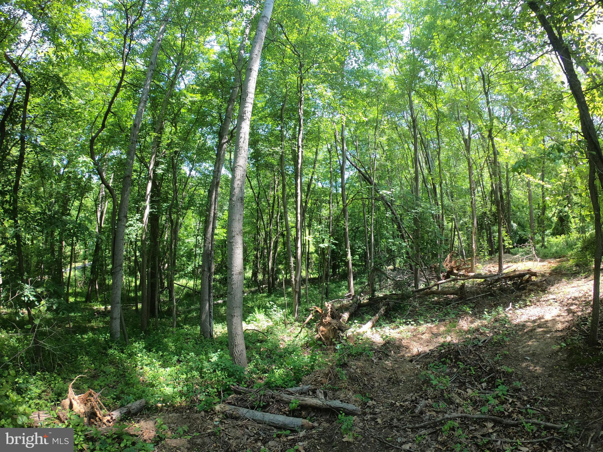 1914 Montevideo Road Jessup, MD 20794 - Photo 10 of 18