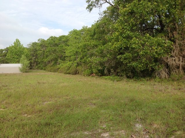 2700 Live Oak Road Perry, FL 32348 - Photo 7 of 14 Gallery Image 7