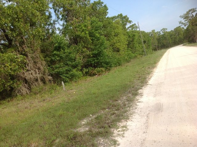 2700 Live Oak Road Perry, FL 32348 - Photo 8 of 14 Gallery Image 8
