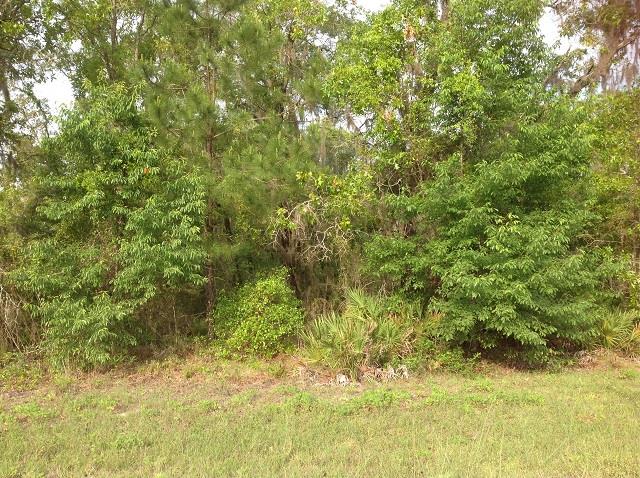 2700 Live Oak Road Perry, FL 32348 - Photo 10 of 14 Gallery Image 10