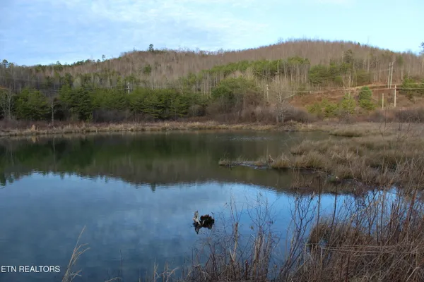 $249,900 | Davis Creek Road, Duff, TN 37729