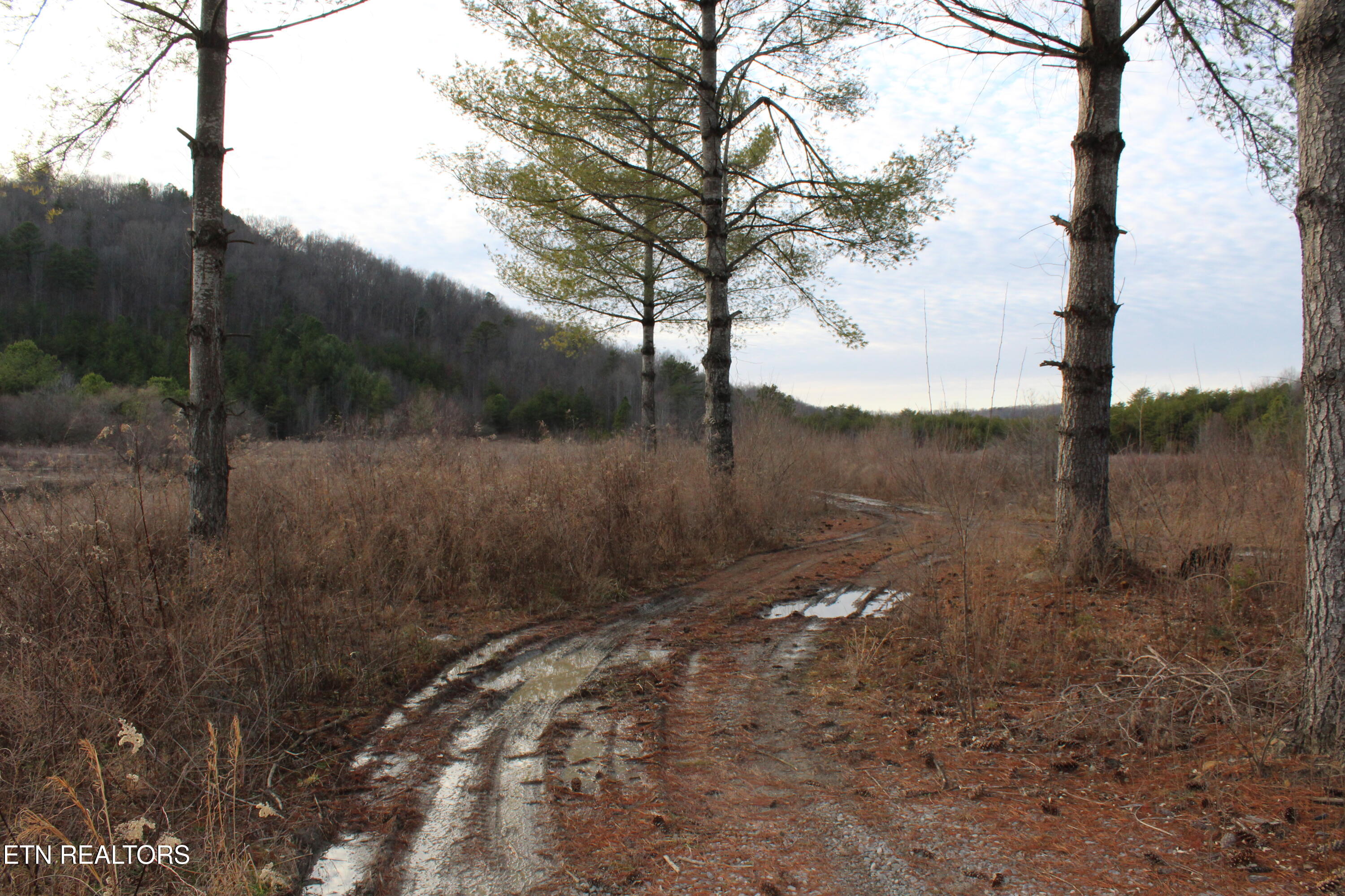 2 Rd Duff Tn 37729 Duff, TN 37729 - Photo 12 of 26 IMG_2212
