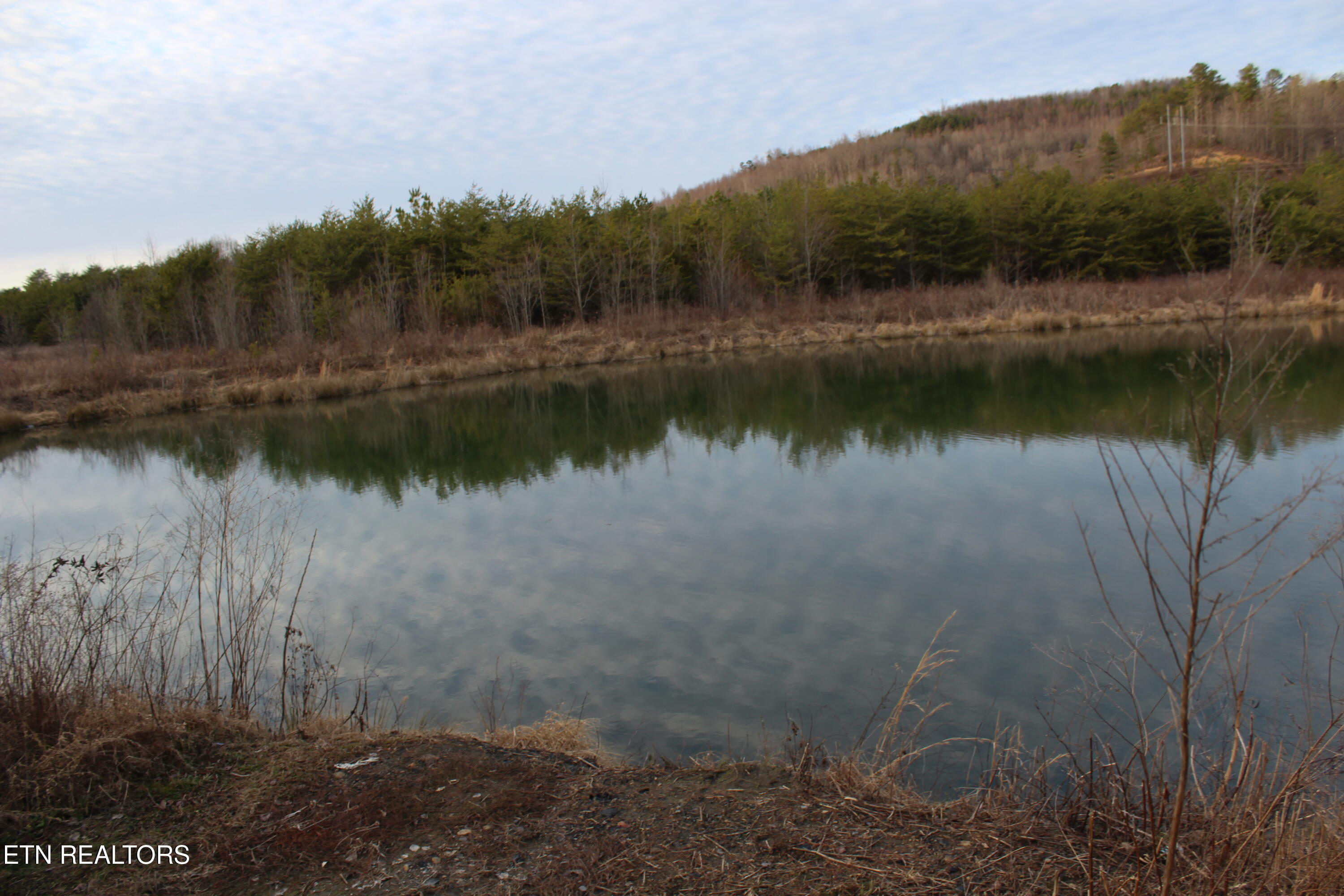 Davis Creek Road Duff, TN 37729 - Photo 12 of 27 IMG_2211