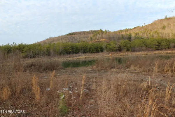 $249,900 | Davis Creek Road, Duff, TN 37729