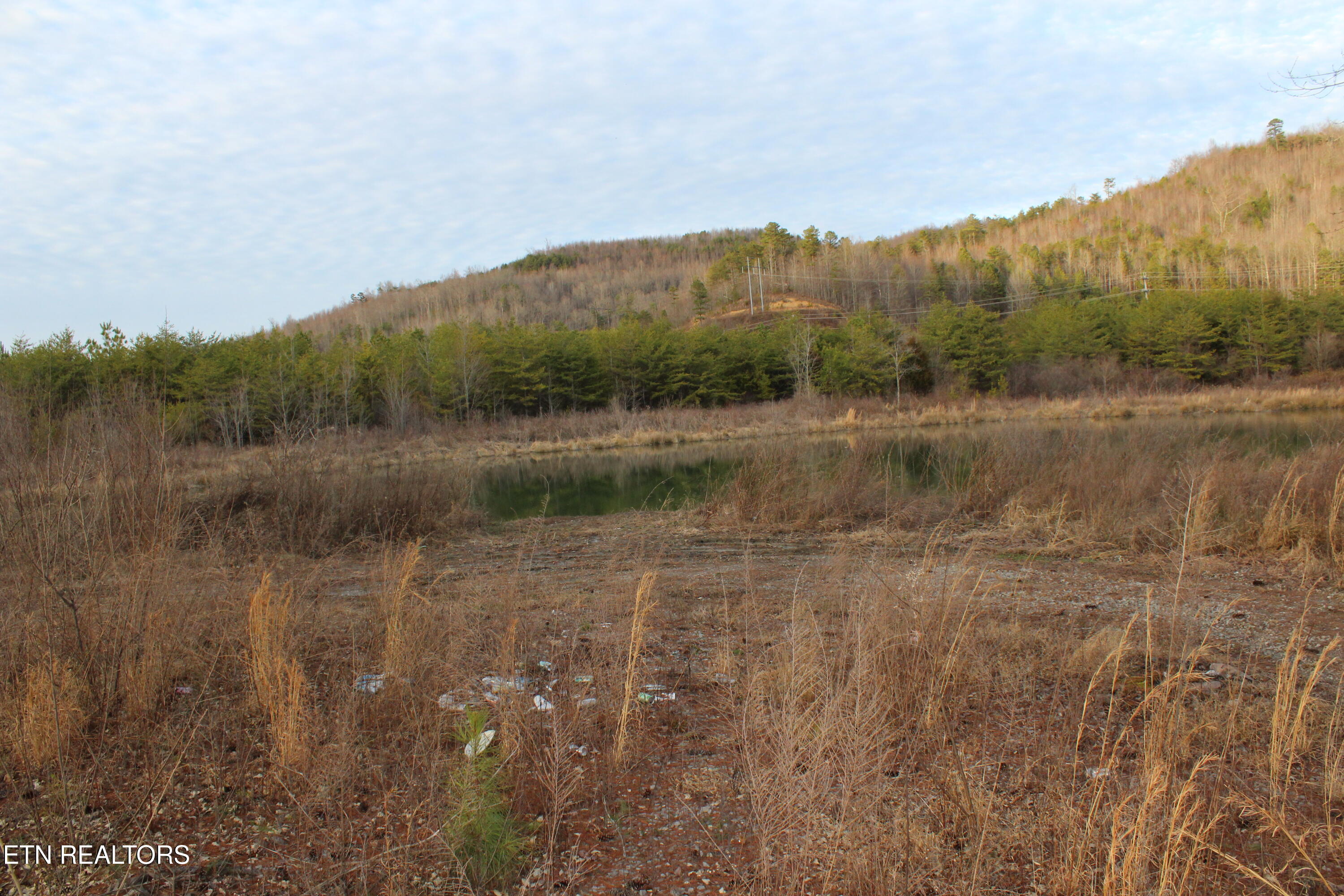 Davis Creek Road Duff, TN 37729 - Photo 15 of 27 IMG_2214