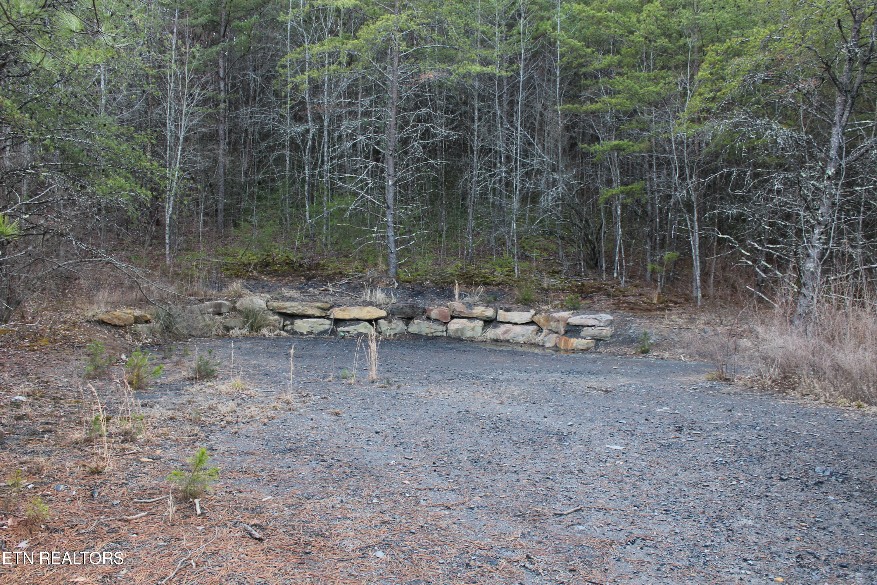 2 Rd Duff Tn 37729 Duff, TN 37729 - Photo 2 of 26 IMG_2202