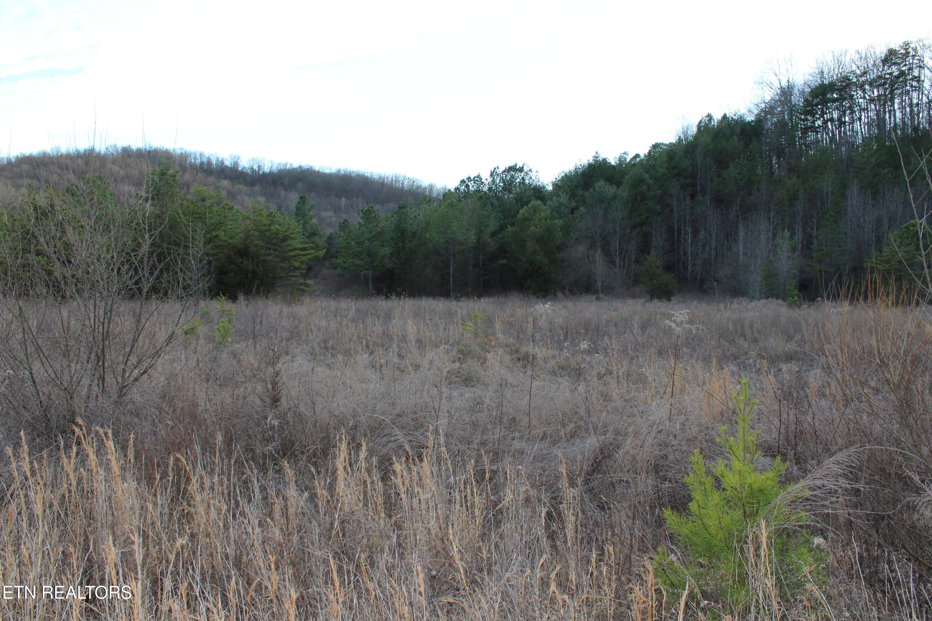 2 Rd Duff Tn 37729 Duff, TN 37729 - Photo 4 of 26 IMG_2204