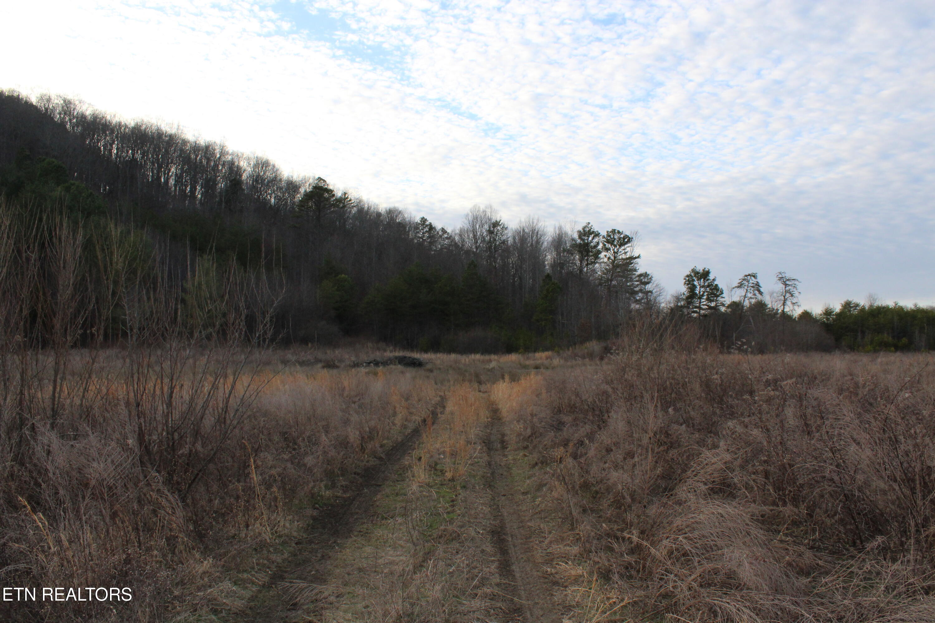2 Rd Duff Tn 37729 Duff, TN 37729 - Photo 5 of 26 IMG_2205