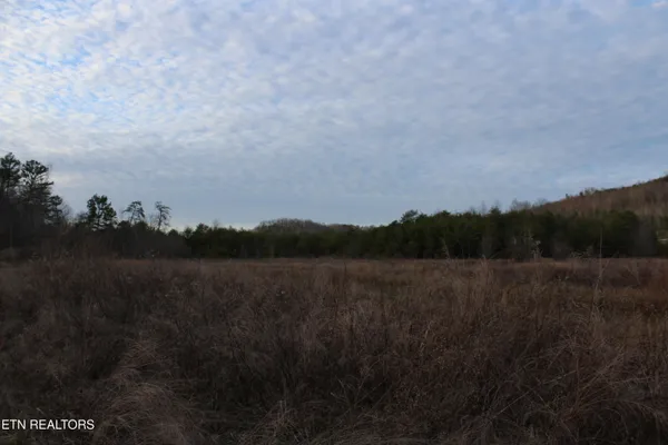 $249,900 | Davis Creek Road, Duff, TN 37729