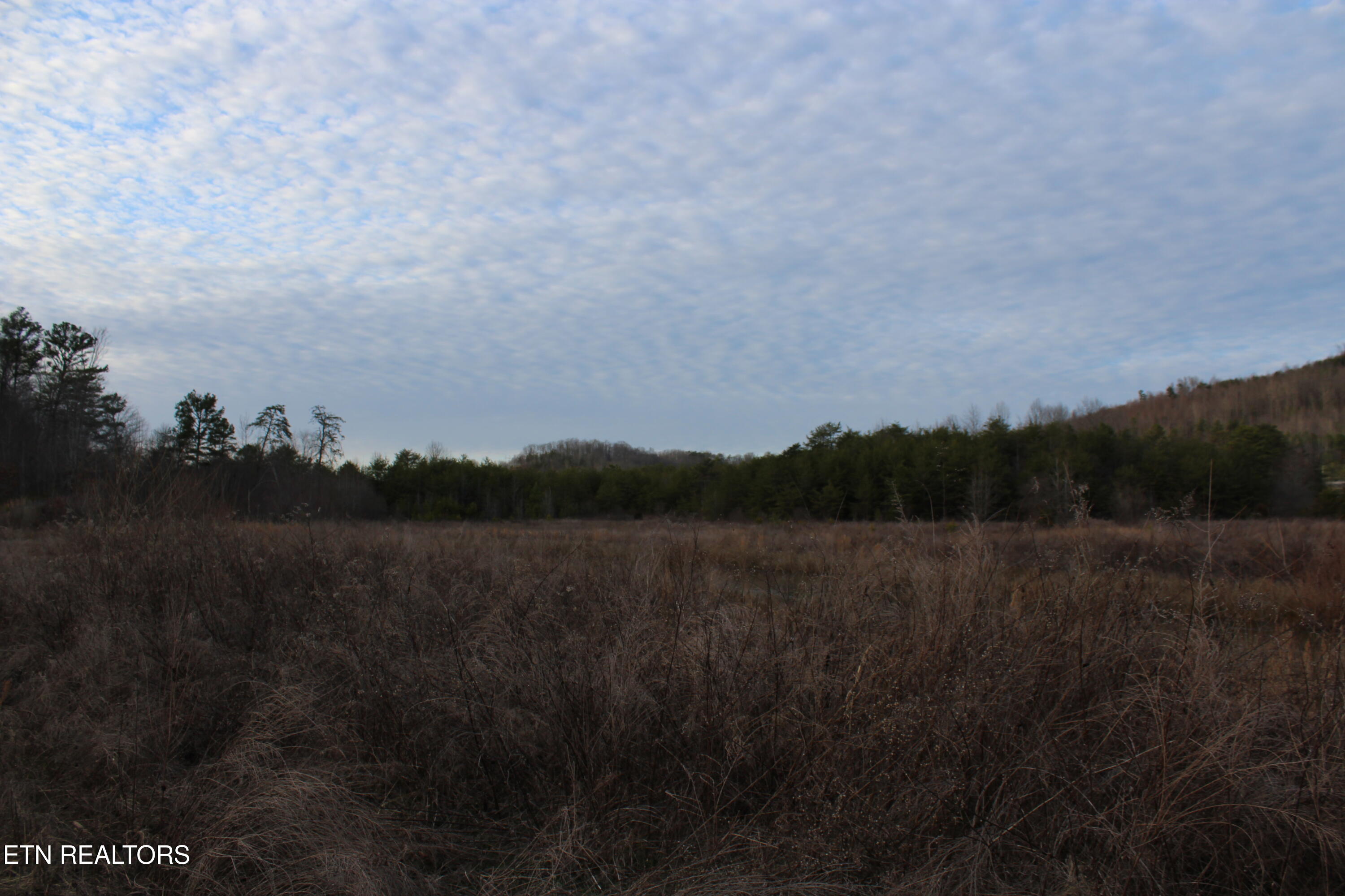 Davis Creek Road Duff, TN 37729 - Photo 7 of 27 IMG_2206