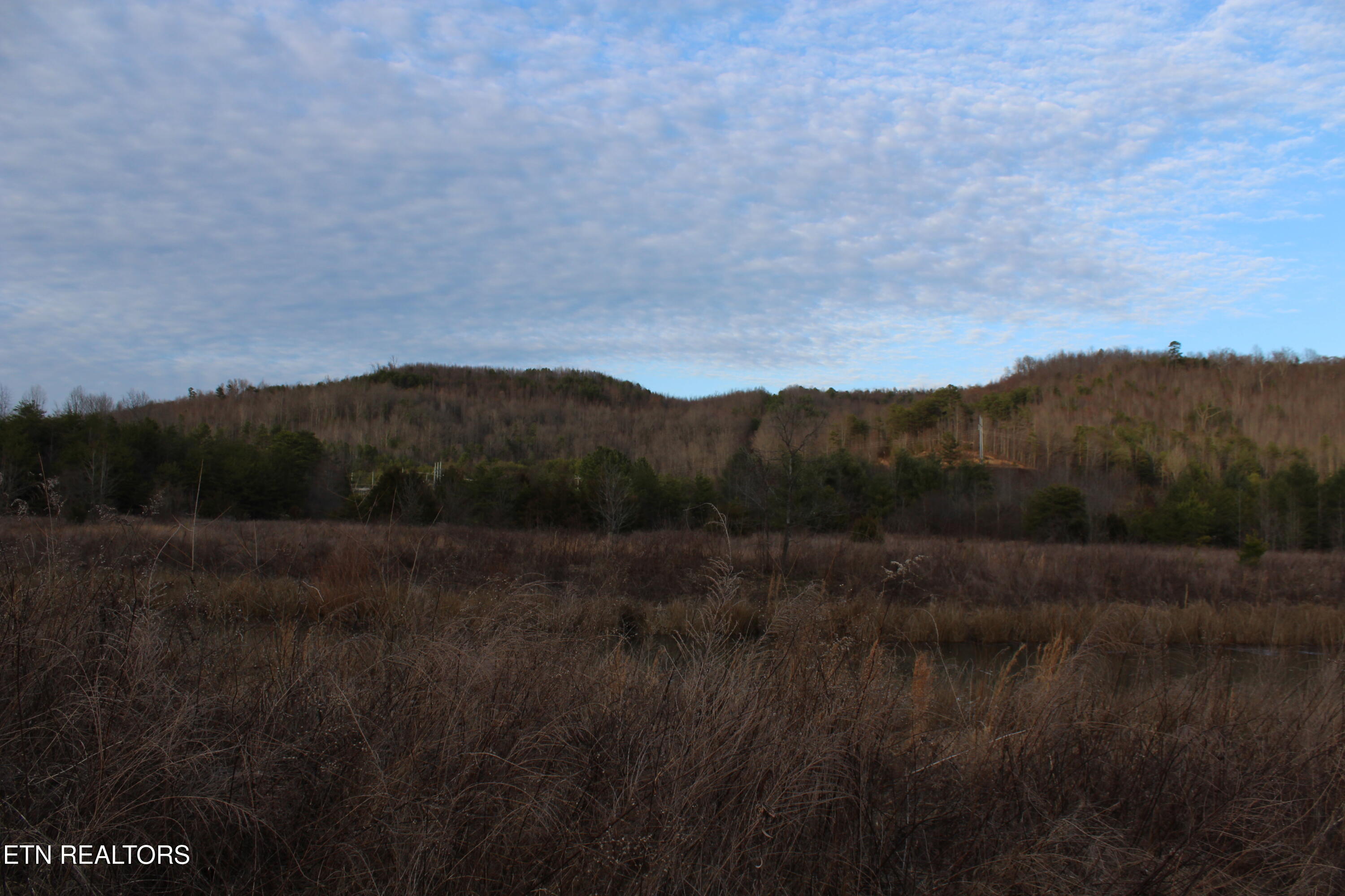 2 Rd Duff Tn 37729 Duff, TN 37729 - Photo 7 of 26 IMG_2207