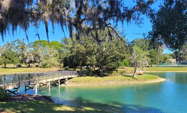 a view of a swimming pool with a yard