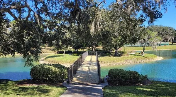 a view of a park with large trees
