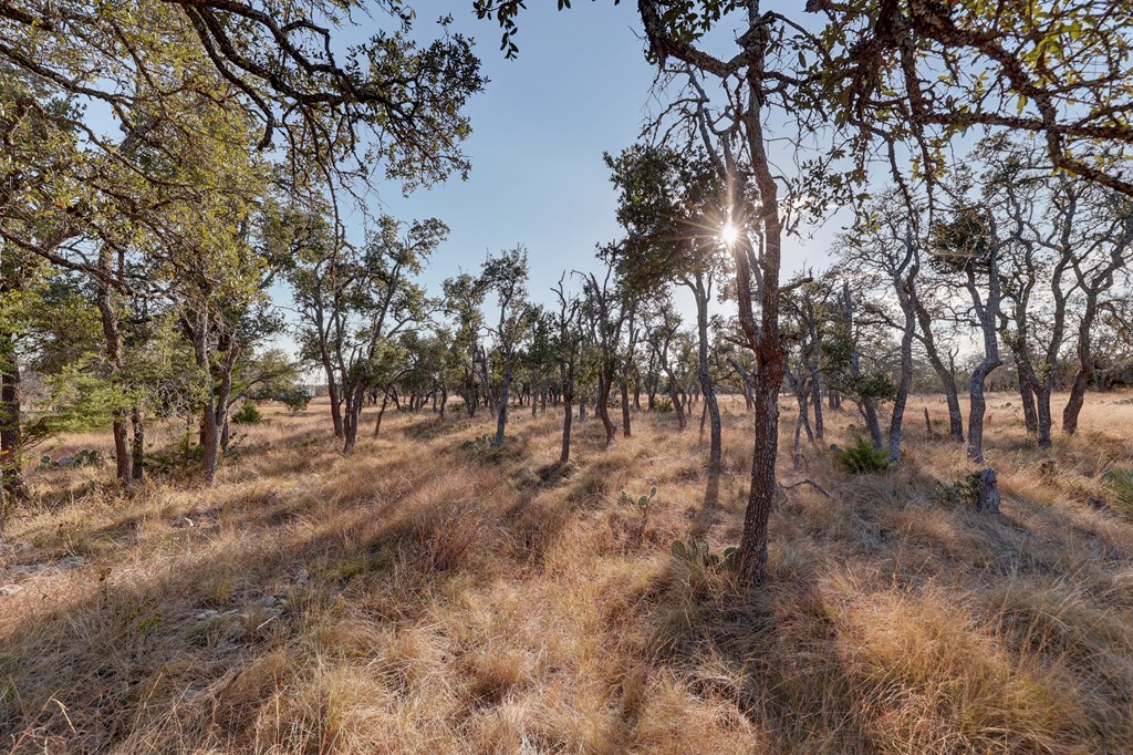 88 Wendel Road Harper, TX 78631 - Photo 9 of 20