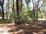 5138 Holland Loop Road Cave Junction, OR 97523 - Photo 11 of 15 Additional Photo