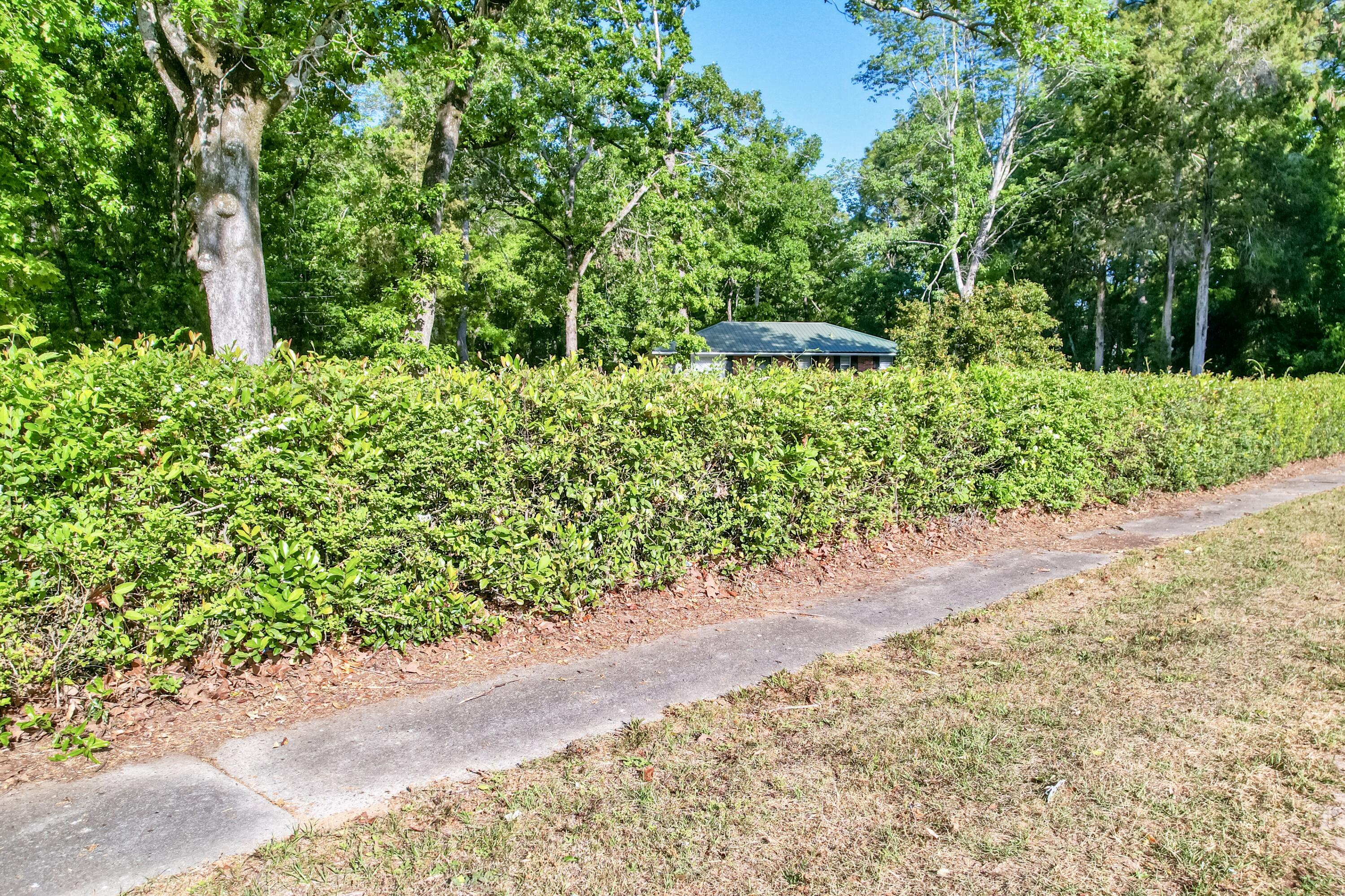 800 Old Whiskey Road South New Ellenton, SC 29809 - Photo 28 of 31 a view of a garden with potted plants and large trees