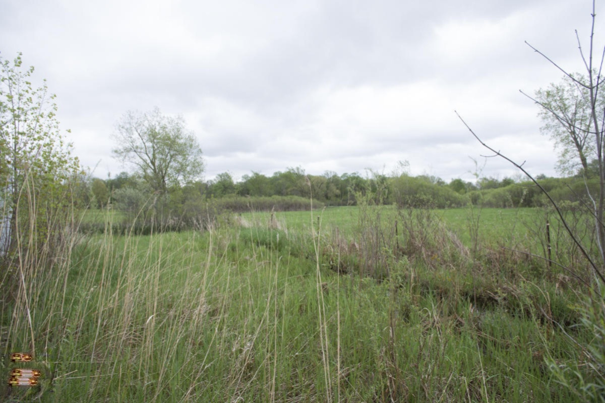 5361 West Baseline Road Plainwell, MI 49080 - Photo 24 of 33 Baseline-7