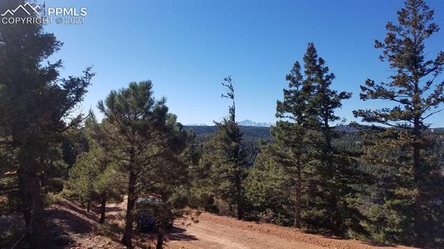 13220 Deer Ridge Way Larkspur, CO 80118 - Photo 4 of 8 Gallery Image 4