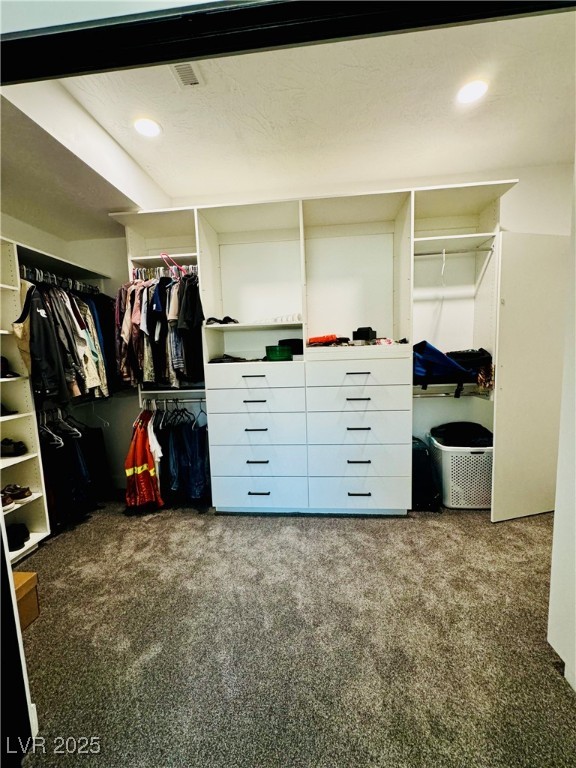 8946 Highway 93 Caliente, NV 89008 - Photo 21 of 40 Walk in closet featuring dark colored carpet