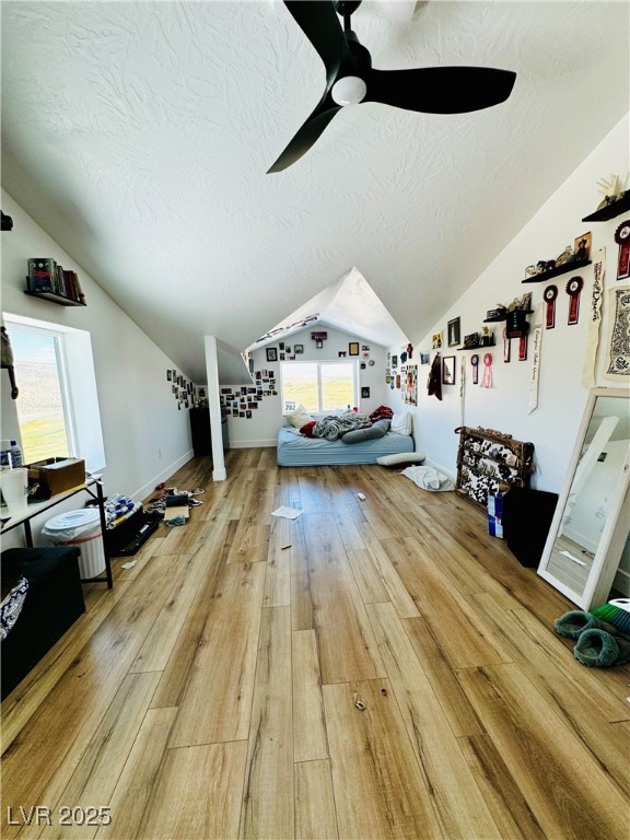 8946 Highway 93 Caliente, NV 89008 - Photo 24 of 40 Bonus room featuring light wood-style flooring, lofted ceiling, and a textured ceiling