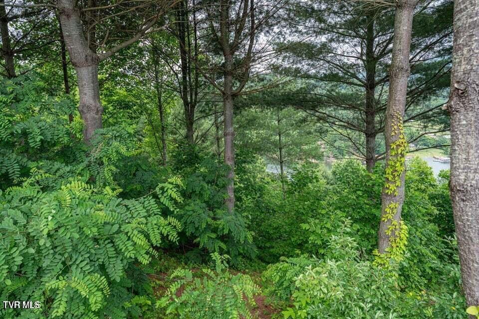 Lot 68 Cowan Town Road, Unit 68 Butler, TN 37640 - Photo 2 of 20 20250612165836817331000000-o